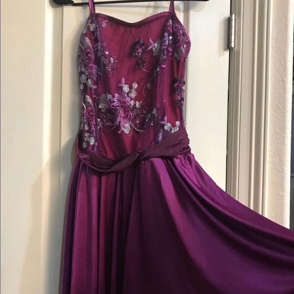 Professional Dance Performance Dress - image 1